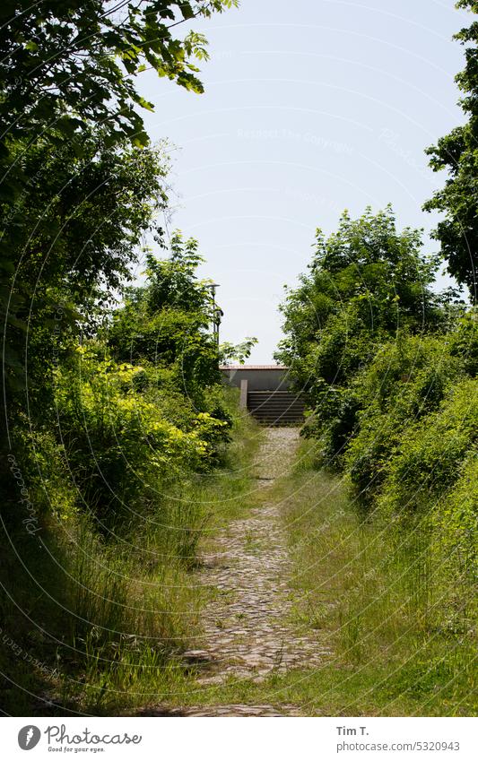 eine alte Straße in verschwundenen Küstrin Kystrin Festung Burg oder Schloss historisch Außenaufnahme Landschaft Menschenleer Tourismus Farbfoto