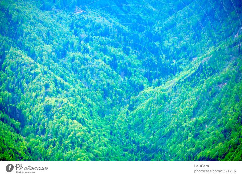 Berg und Tal und ganz viel Wald grün Berge Hügel Natur Berge u. Gebirge Landschaft Bäume im Freien Panorama Aussicht reisen malerisch wandern Slowenien Schneise