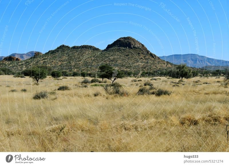 Lass den Blick schweifen 2 Afrika Namibia Umwelt Natur Landschaft Erde Sonnenlicht Hügel Berge u. Gebirge Gipfel Wüste exotisch Ferne frei gigantisch