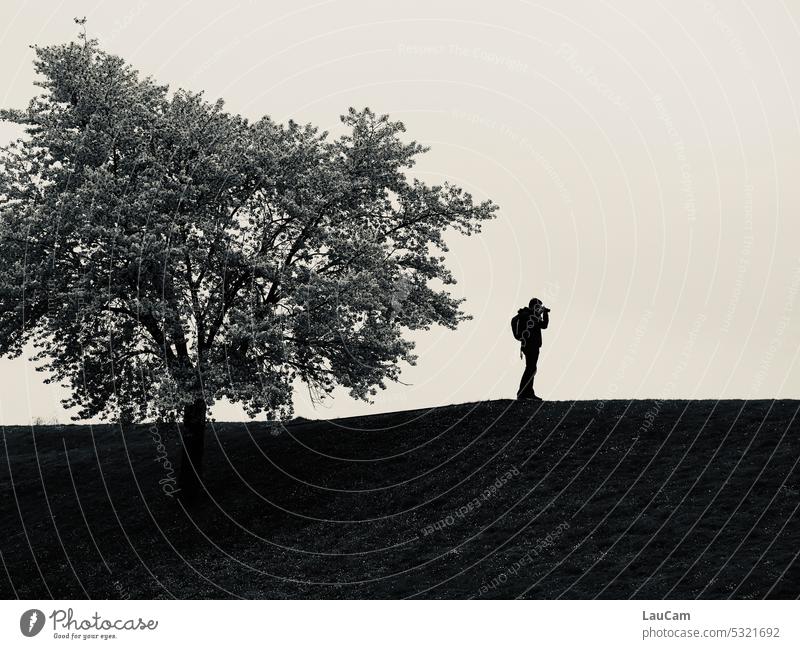 Fotograf am Baum fotografieren Mann Schwarzweißfoto schwarzweiß stehen stehend fokussieren Natur Hügel Landschaft Freizeit & Hobby