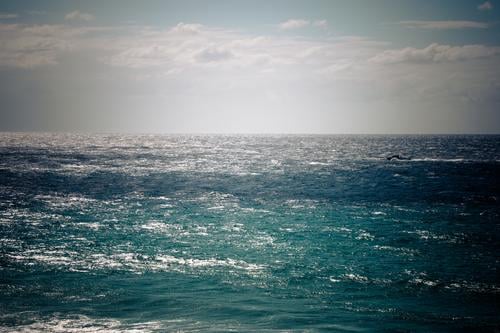 Nur glizernde Wasserspiegelung , Himmel und Meer.. Meerwasser blau Wellen ozeanisch Wasserfarbe Natur Ozean Wasseroberfläche Außenaufnahme Sommer Farbfoto