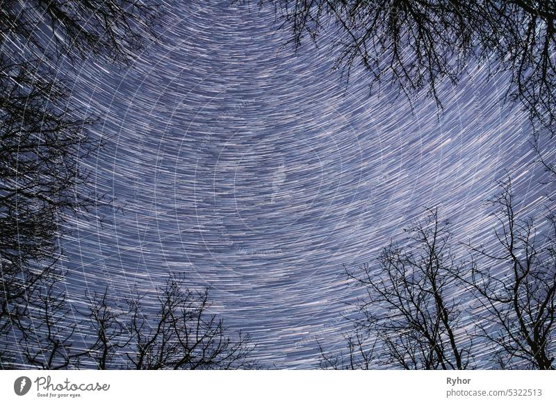 5k Spin Trails of Stars Above Tree Crowns Without Foliage. Nacht Rotate Sky Star Hintergrund. Star Lines Move In Sky. Erstaunlich Ungewöhnliche Sterne Effekte im Himmel. Helles Blau.