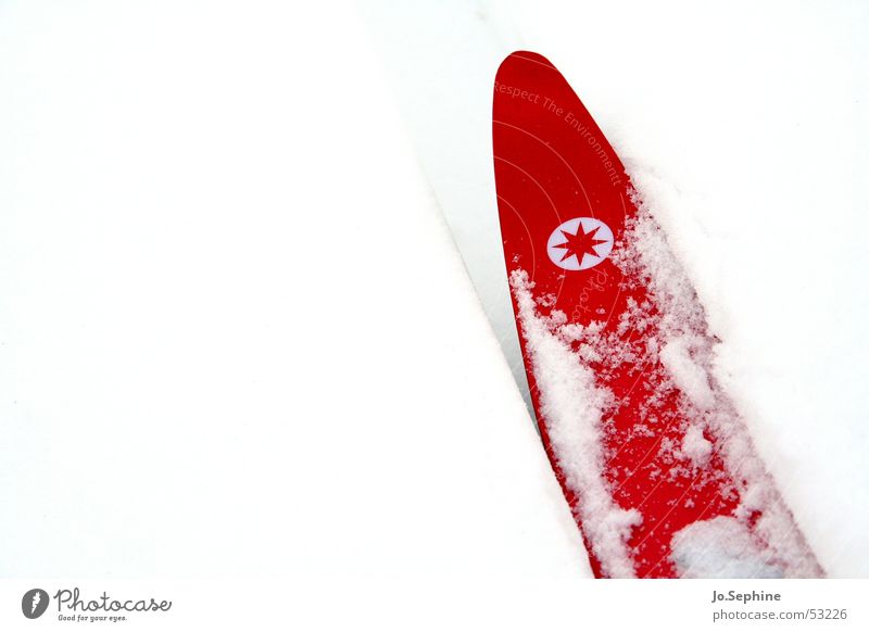 Rot auf Weiß I Freizeit & Hobby Skilanglauf Skifahren Skier Wintersport Sport Winterurlaub Schnee kalt rot weiß Jahreszeiten Frost Farbfoto Hintergrund neutral