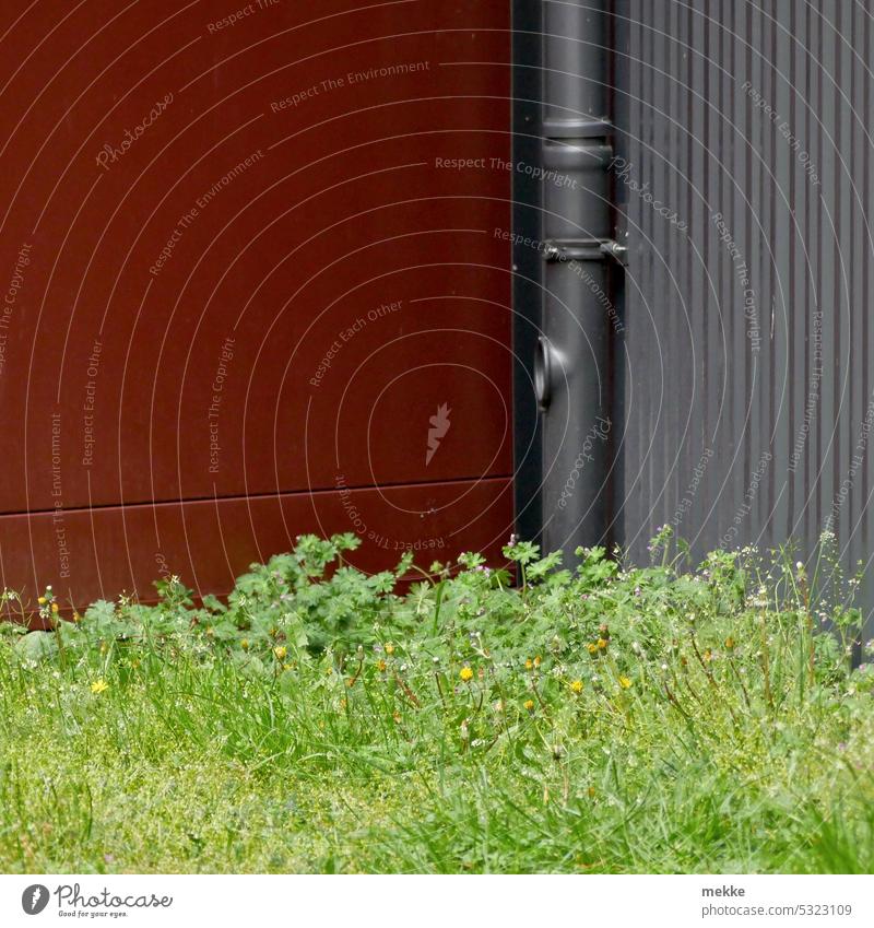 Eine bunte Ecke Wand Architektur Gebäude Bauwerk Fassade Mauer Haus Linie Strukturen & Formen Niesche farbig rot dunkelrot grau Metall Wasser Wasserrinne Rohr