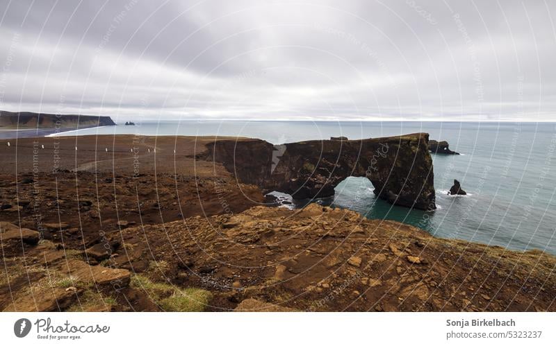 Dyrhólaey in Island mit ruhiger See Dyrholaey reisen Südisland Islandreise Anziehungskraft schön Schönheit Ausflugsziel isländisch im Freien malerisch