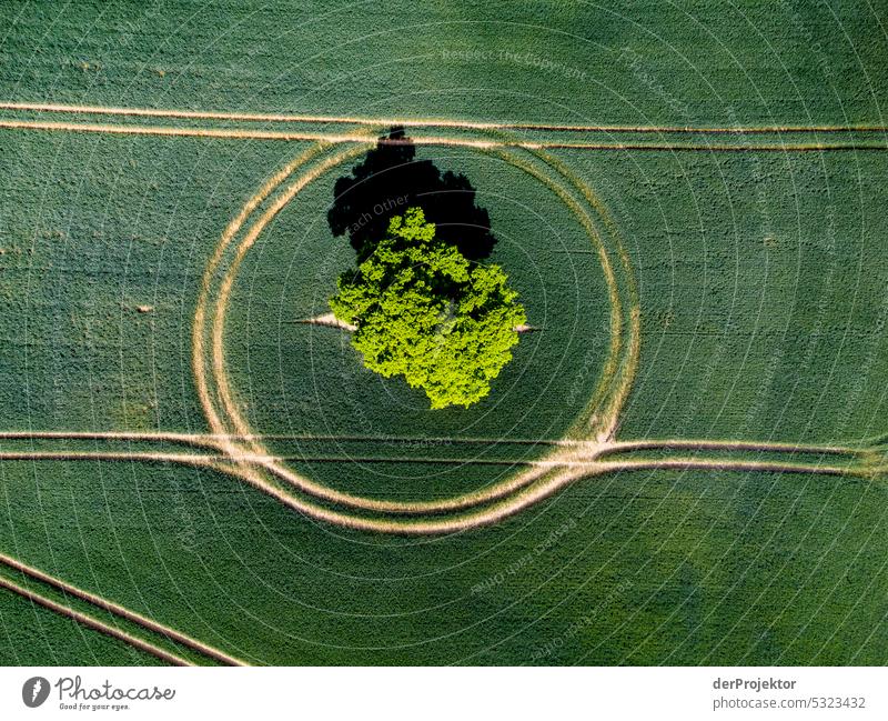 Raumübergreifendes Großgrün von Traktorspuren gerahmt Landleben Grünstreifen landwirtschaftlich Landwirt Umwelt restnatur Luftbild Sonnenlicht Landwirtschaft