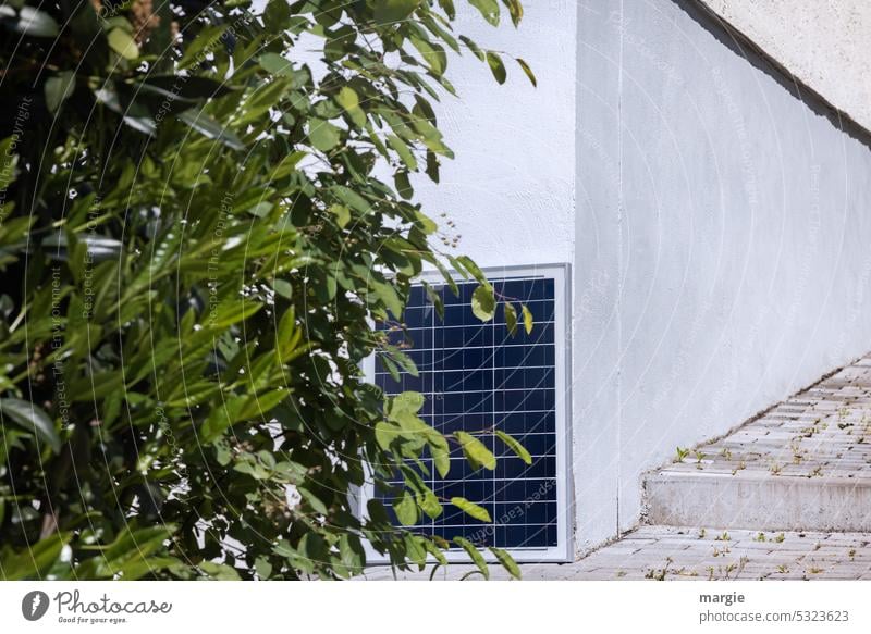 Solarkollektor am Haus Hauswand Treppe Wege & Pfade Pflaster Sträucher Außenaufnahme Lorbeer Lorbeerbaum Menschenleer Energie sparen Solarkollektoren