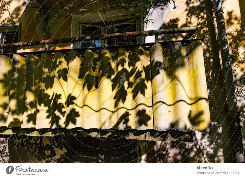 Lost Land Love II schattiges Plätzchen Balkon Schatten Schattenspiel Strukturen & Formen Licht Silhouette Kontrast Fassade Wand Sonnenlicht Licht & Schatten