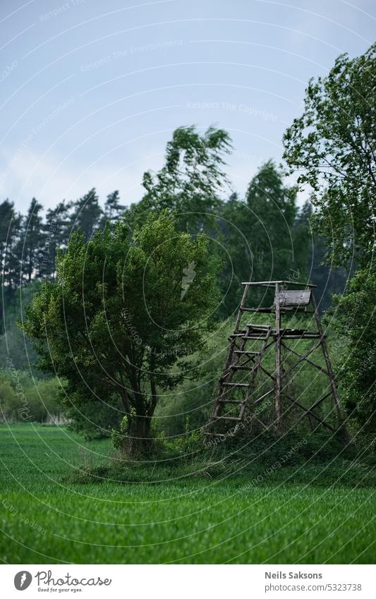 Alter hölzerner Wachturm inmitten eines Feldes mit grünen Bäumen Architektur Hintergrund schön blau Kabine Landschaft Tag Umwelt Europa Wald Gras Höhe Tierhaut