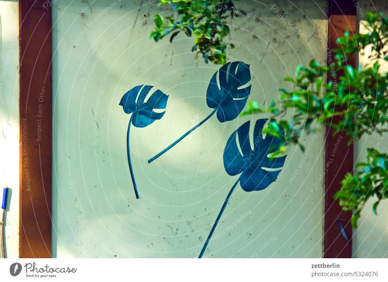 Blätter (Monstera) als Wandbild ast baum blühen blüte dämmerung erholung erwachen ferien frühjahr frühling frühlingserwachen garten hecke kleingarten