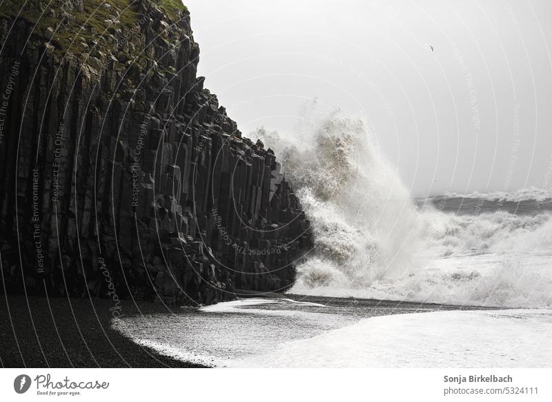 Stürmische Zeiten am schwarzen Sandstrand Island Basalt Steine Wellen Unwetter im Freien schön Islandreise vik i myrdal Südisland Wetter stürmisch MEER Meer