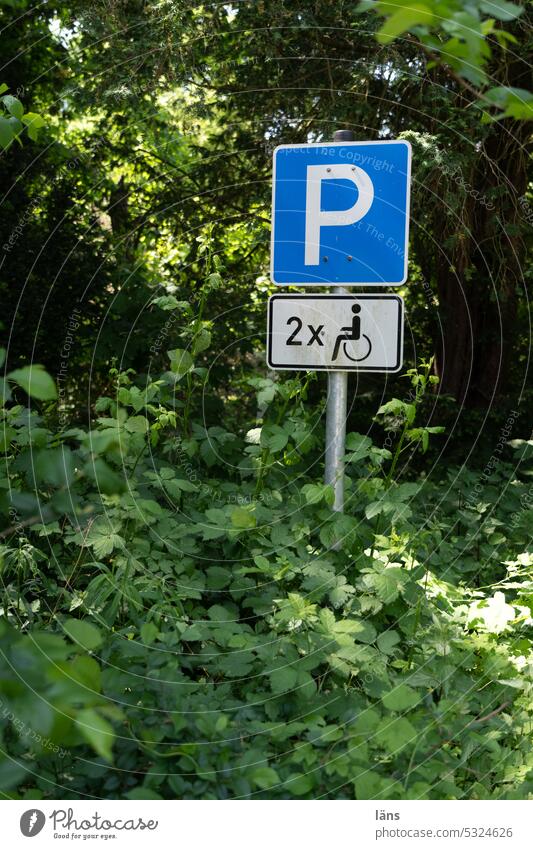 Lost Land Love ll behinderter Behindertenparkplatz Schild Schilder & Markierungen Menschenleer Zugewachsen parken Verbote Parkplatz Verkehrsschild