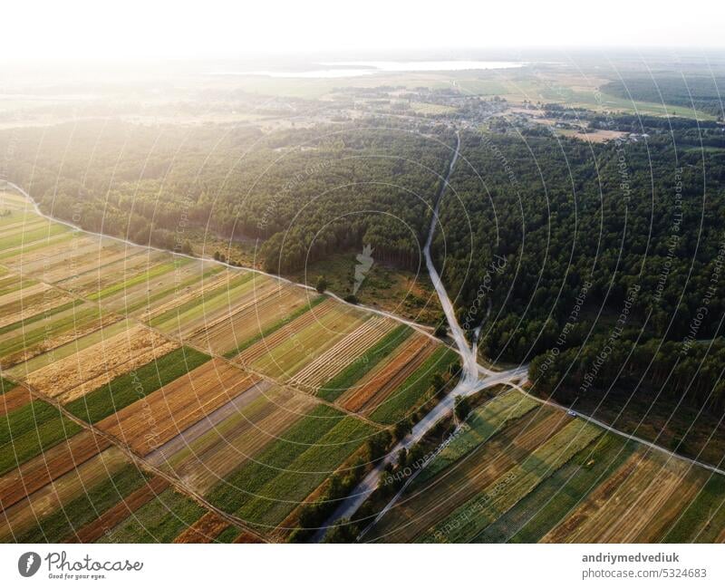 Landschaft auf dem Land. Luftaufnahme von kultivierten grünen Feldern, landwirtschaftliche Parzellen geometrische Form mit Gold Weizen, Wald, Landstraßen und Dorf. Konzept der landwirtschaftlichen Industrie in der Ukraine.