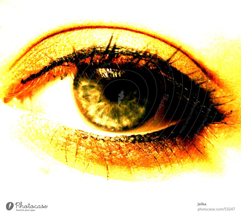 augenschmaus Schminke Wimperntusche Auge grün geschminkt Farbfoto Frauenaugen Pupille gelb gold 1 Kajal Nahaufnahme Detailaufnahme Augenfarbe