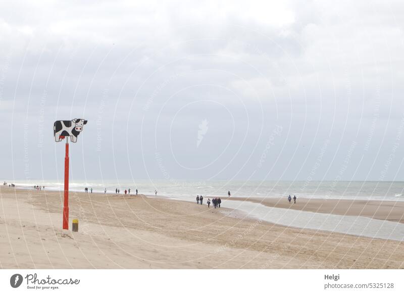 die Kuh am Strand II - als Orientierungshilfe, viele winzig erscheinende Menschen gehen am Strand spazieren Küste Nordseeküste Niederlande Holland Sand