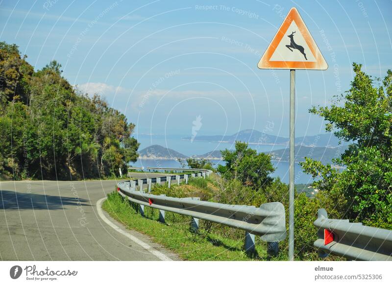 kurvenreiche Straße auf Elba mit einem Verkehrszeichen - Wildwechsel - , Leitplanken, Bäumen und Gebüsch am Straßenrand und einem Blick auf die Insel