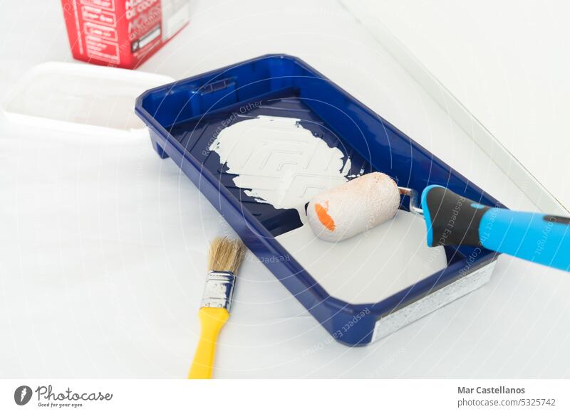 Streichen einer weißen Wand mit einer Farbrolle in einer blauen Schale. Malerarbeiten zu Hause. Hausanstrich Anstreicher Dekorateur Bürste Farbroller Farbe