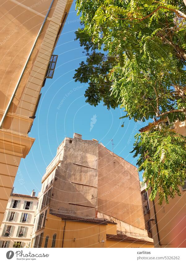 In den Gassen von Toulon II Frankreich Südfrankreich Altstadt mediterran Gebäude Fassade Menschenleer Architektur alt Stadt Fenster historisch