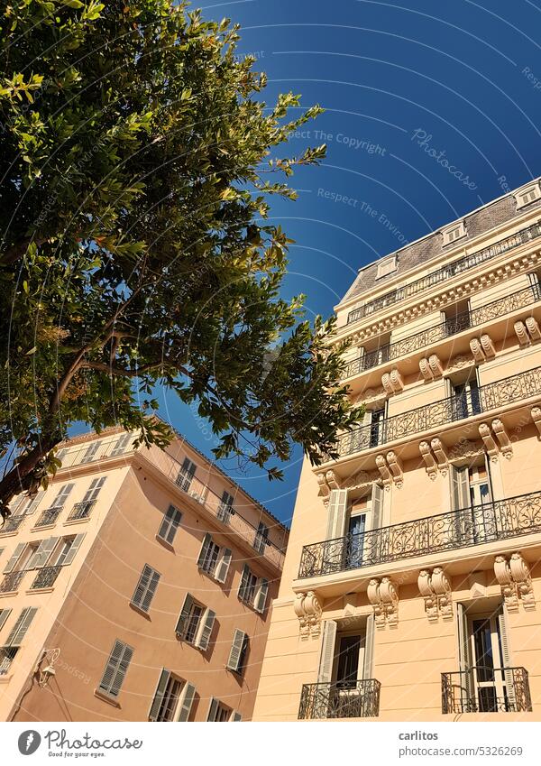 In den Gassen von Toulon VI Frankreich Südfrankreich Altstadt mediterran Gebäude Fassade Menschenleer Architektur alt Stadt Fenster historisch