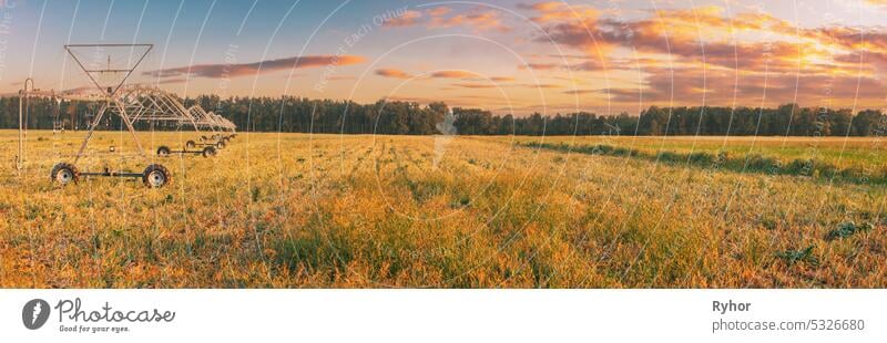 Panoramablick auf den Sonnenuntergang Himmel über Bewässerung Pivot. Bewässerung Maschine auf landwirtschaftlichen Bereich mit jungen Sprossen, grüne Pflanzen auf schwarzem Boden. Farming Sprinkler in Feldbewässerung, Bewässerung von Pflanzen