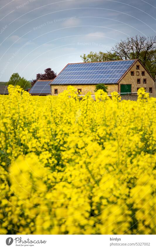 Bauernhof mit Photovoltaikanlage hinter einem blühenden Rapsfeld PV-Anlage Solarenergie regenerative energie Erneuerbare Energie Klimaschutz Nachhaltigkeit