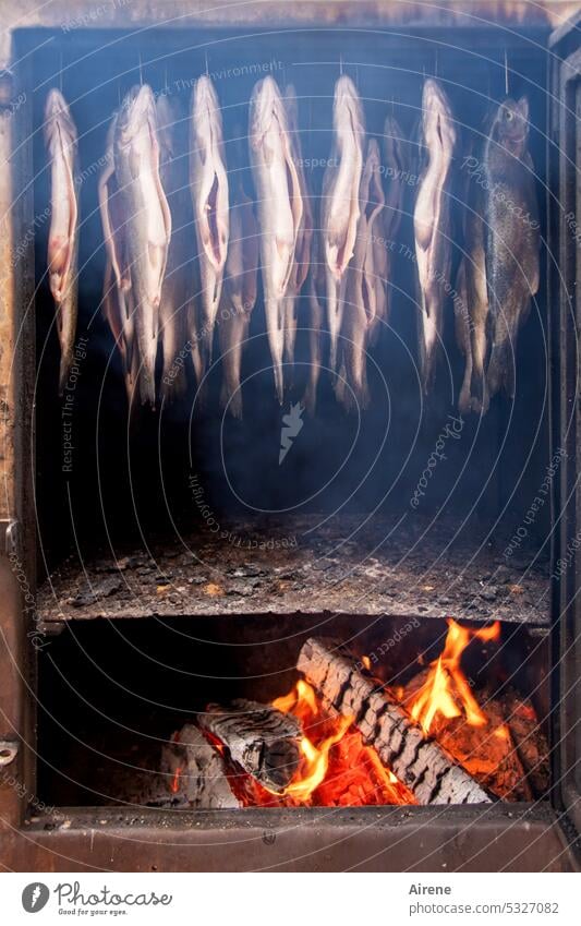 Kein Rauch ohne Feuer Forelle Fisch Räucherofen räuchern Räucherfisch Holzfeuer Ofen Ernährung geräuchert Lebensmittel hängen lecker Räucherforelle