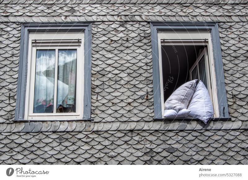 MainFux | Frau Holle hat keine Lust Fassade Fenster Federbett offen lüften Haus Häusliches Leben Wohnung Schiefer Schieferfassade Fassadenverkleidung grau weiß