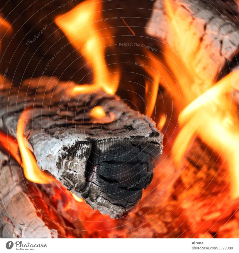 Heizen anno dazumal Feuer Heizung Holz verbrennen Brand Lagerfeuer Wärme Grill Glut Holzscheit Flamme Brennholz glühen Hitze gefährlich rot schwarz Energie