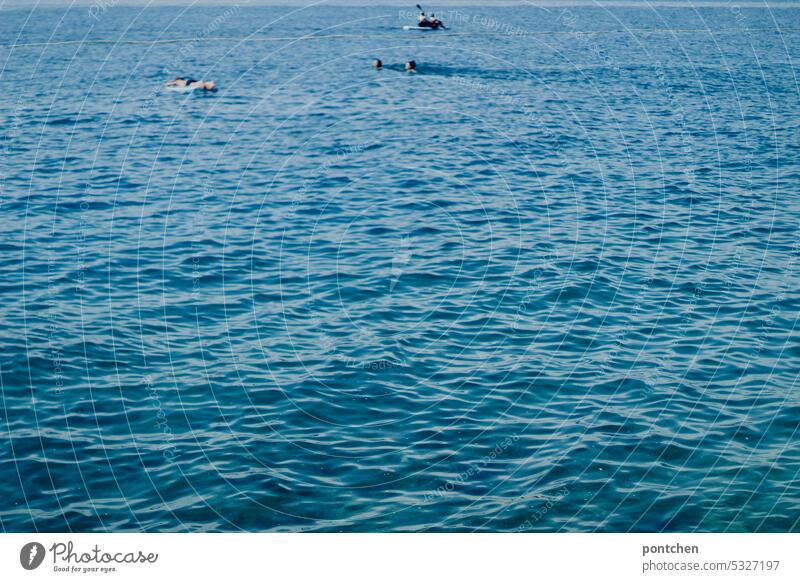 zwei schwimmerinnen, zwei paddler und ein mensch auf einer luftmatratze im meer wasser schwimmen paddeln Ferien & Urlaub & Reisen Erholung Außenaufnahme