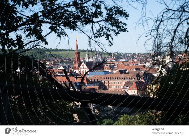 Blick auf die Altstadt von Würzburg einer Stadt in Franken Bayern Kirche Tourismus Deutschland romantisch Ausflug