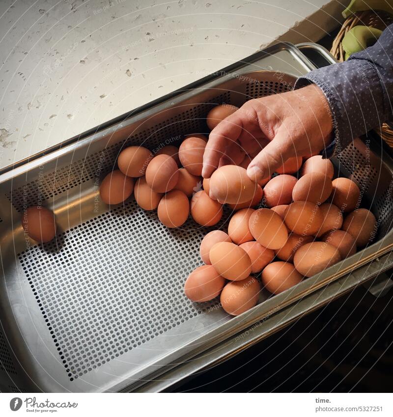 »Eier. Wir brauchen Eier.« Hühnerei Frühstücksei Nahrungsmittel tierische Nahrung Fensterbank Hand halten zeigen viele Buffet Frühstücksbuffet Schüssel