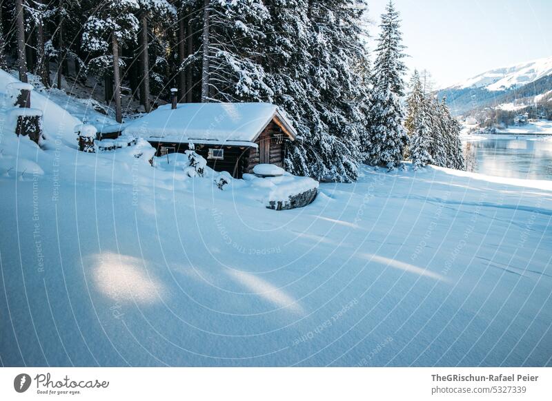 Chalet im Schnee am See im Winter Schweiz Tourismus kalt Schönes Wetter Sonnenlicht Wald verschneite Häuschen Landschaft weiß Baum Berge u. Gebirge Farbfoto