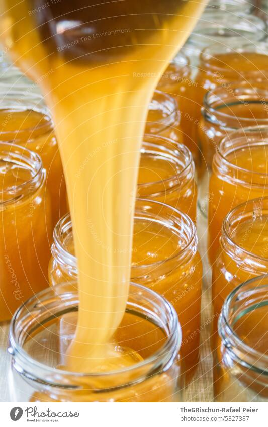 Honig wird in Gläser abgefüllt lecker Bienenzucht Glas Honigglas Natur Honigbiene Lebensmittel Imkerei Insekt Gesundheit süß Süße Lebensmittel Gesunde Ernährung