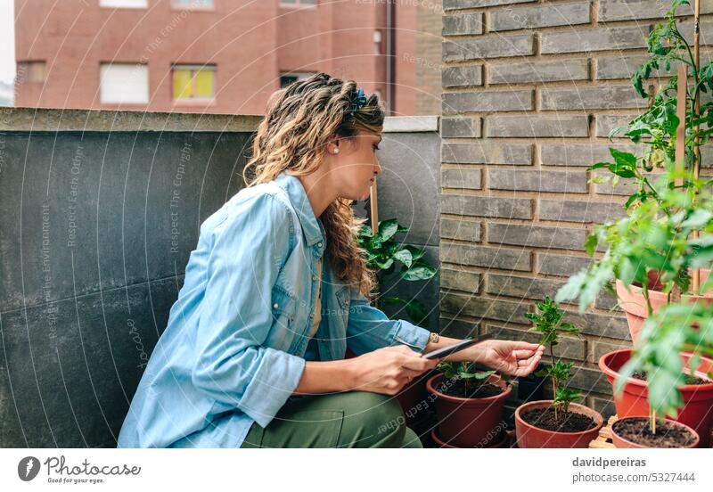Frau prüft Pflanzen eines städtischen Gartens auf der Terrasse und hält ein digitales Tablet in der Hand urban Dachterrasse Gärtner Gartenarbeit Überprüfung