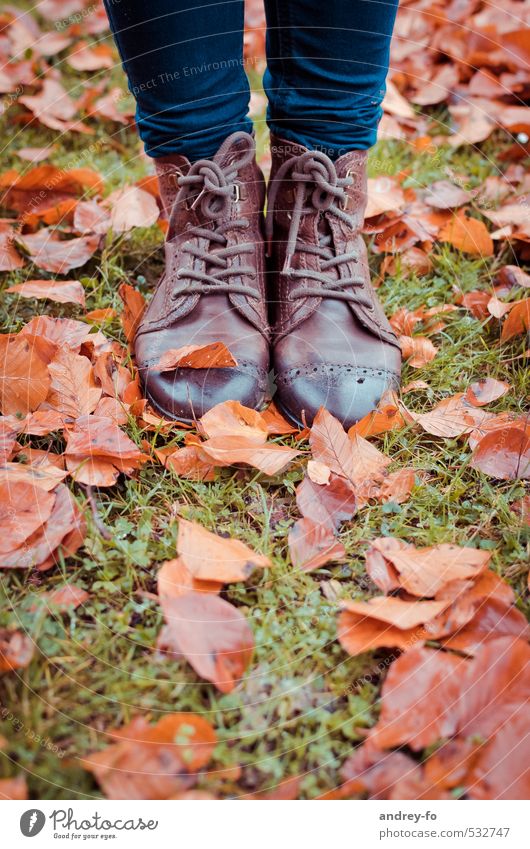Nasse Schuhe. Fuß Mode Leder stehen braun Klima halbstiefel Blatt nass herbst Herbstlaub 2 Lederschuhe Bodenbelag Gras Regen Herbstwetter Schnürstiefel Schnur