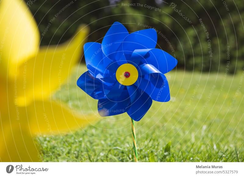Nahaufnahme von blauem Spielzeug Windmühle im Garten. Pinwheel auf der Wiese, grünes Gras, Sommerzeit, Kindheit Konzept. Air Hintergrund sorgenfrei heiter Farbe
