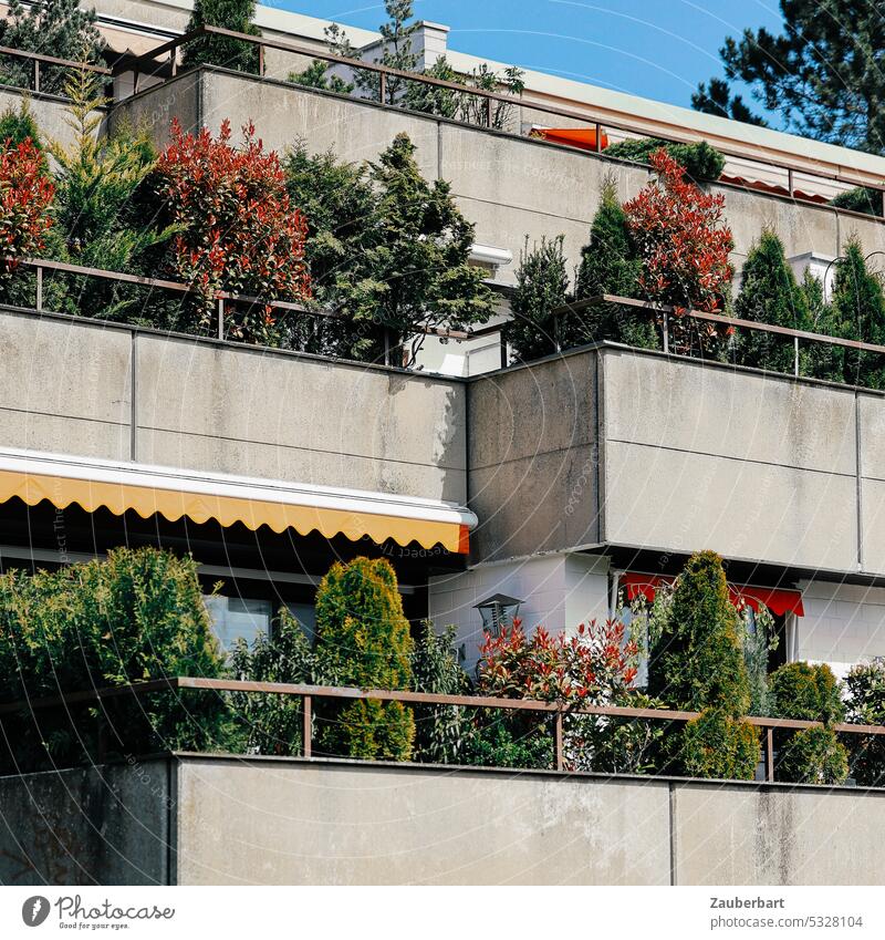Farbige Büsche blühen auf den Balkons einer Wohnanlage aus den 70ern balkon balkonpflanze beton grün rot idylle idyllisch wohnen wohlfühlen alt markise
