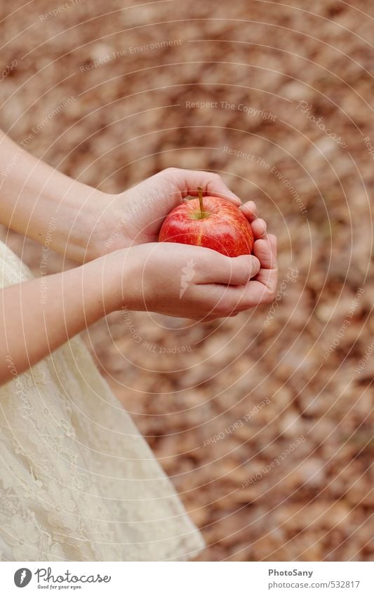 Diese Geschichte mit dem Apfel... Hand Finger hell retro Wärme weich braun rot Schneewittchen Märchen Blatt Farbfoto Außenaufnahme Tag Unschärfe