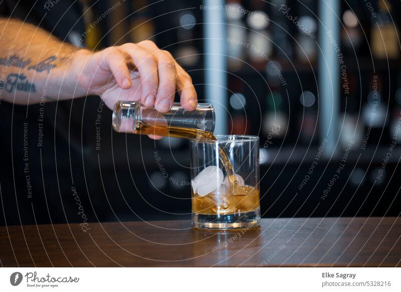 ein Scotch Whiskey auf Eis wird eingeschenkt... Glas kalt Getränk trinken durchsichtig Alkohol dunkel Reichtum Arm Bar Schnaps Bourbon Tisch Würfel