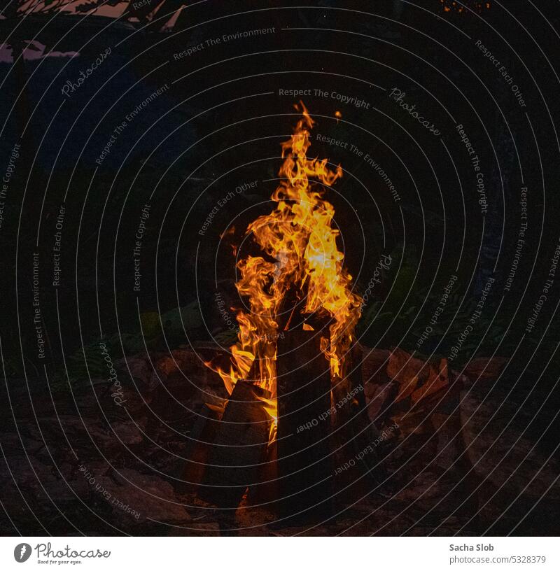 Lagerfeuer bei Nacht Feuer Freudenfeuer Feuerstelle Camping Natur erwärmen Flammen Brandwunde orange heiß Nachthimmel Holz Kolumbien Brennholz Landschaft