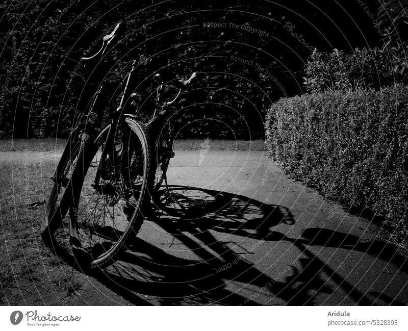 Zwei Räder parken nachts auf dem Gehweg s/w Fahrrad Fahrräder Nacht dunkel Straßenbeleuchtung Straßenlaterne Schatten Fußweg Gehwegplatten Licht Hecke Buchsbaum