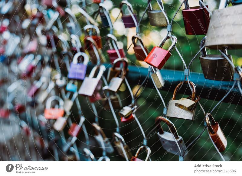 Liebesschlösser hängen am Zaun Vorhängeschlösser Sommer Park grün erhängen Metall Symbol Treue traditionell Netz Herzen Zeichen Ewigkeit romantisch