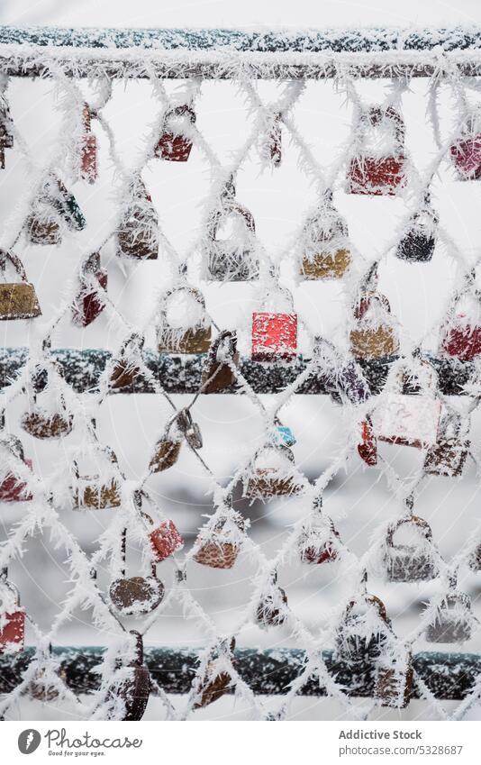 Raureif auf Liebesschlössern Vorhängeschlösser Zaun Winter Park erhängen Metall Symbol Treue traditionell Netz Herzen Zeichen Schnee weiß kalt cool Wetter