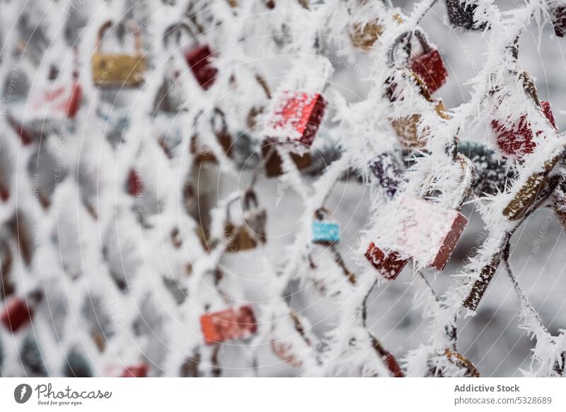 Raureif auf Liebesschlössern Vorhängeschlösser Zaun Winter Park erhängen Metall Symbol Treue traditionell Netz Herzen Zeichen Schnee weiß kalt cool Wetter