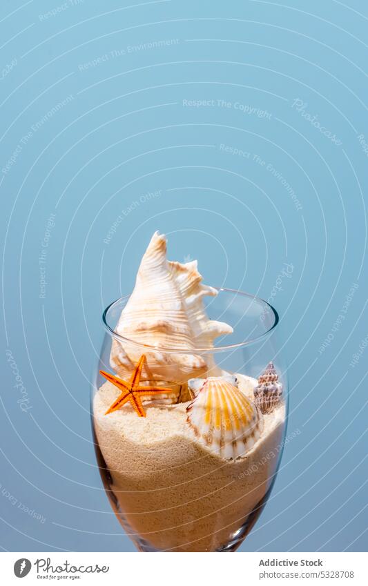 Glas mit verschiedenen Konchen und Sand Seestern Panzer Souvenir Dekor marin Dekoration & Verzierung exotisch Muschel durchsichtig tropisch Sonnenlicht