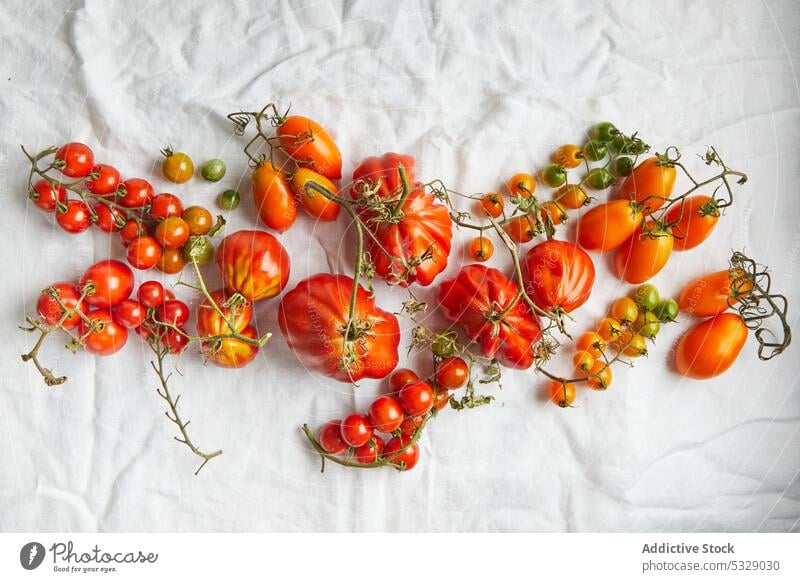 Frische reife Fleischtomaten auf weißer Kleidung Tomaten rot frisch roh Blatt Ast Gemüse Gewebe Vorbau verschiedene gesunde Ernährung natürlich lecker