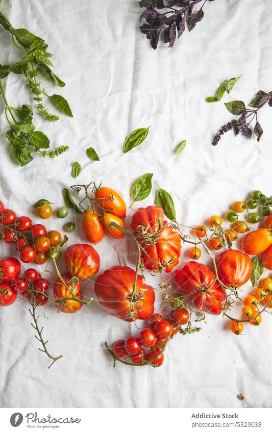 Frische reife Fleischtomaten auf weißer Kleidung Tomaten rot frisch roh Blatt Ast Gemüse Gewebe Vorbau verschiedene gesunde Ernährung natürlich lecker
