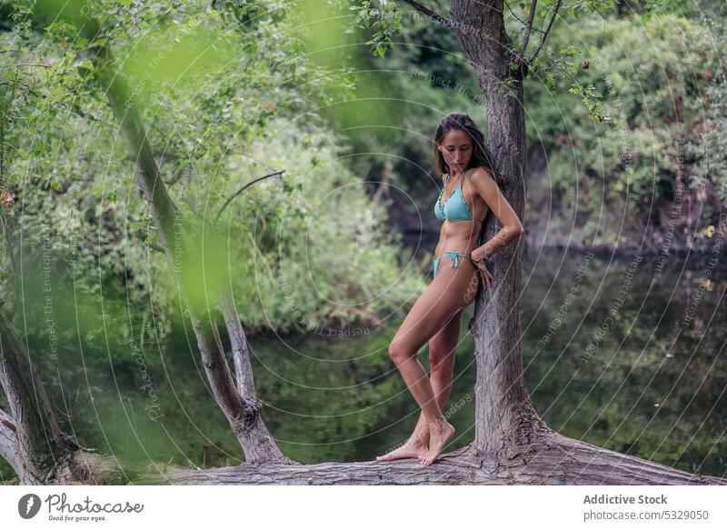 Entspannte Frau lehnt an einem Baumstamm im Wald See ruhen fettarm Windstille Kofferraum Natur Urlaub Wochenende Sommer Badebekleidung Bikini Wälder ruhig jung