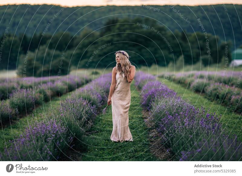 Frau im Lavendelfeld stehend Feld Natur Blume Blütezeit blond genießen Sonnenuntergang geblümt Wiese Sommer Harmonie Kleid sich[Akk] entspannen ruhen Abend