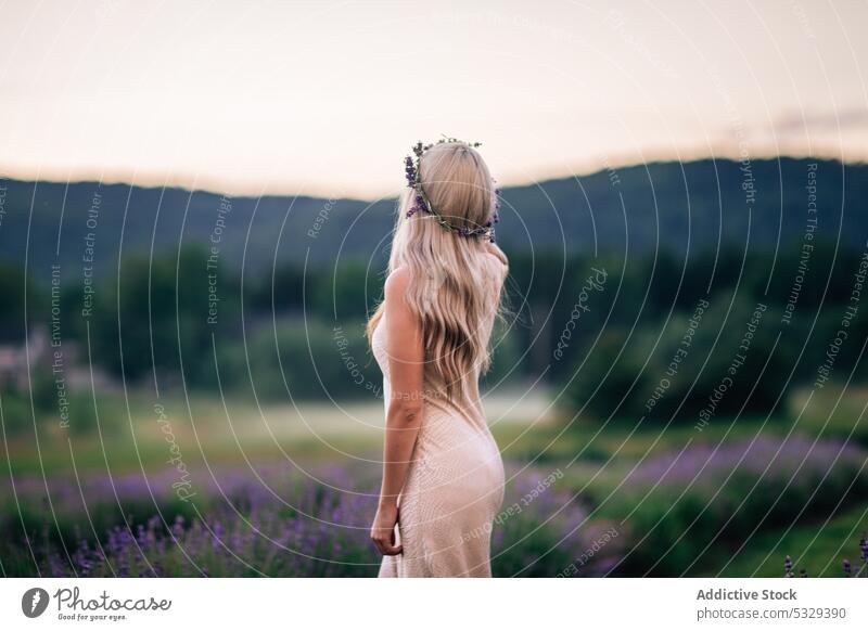 Anonyme Frau im Lavendelfeld stehend Feld Natur Blume Blütezeit blond genießen Sonnenuntergang geblümt Wiese Sommer Harmonie Kleid sich[Akk] entspannen ruhen